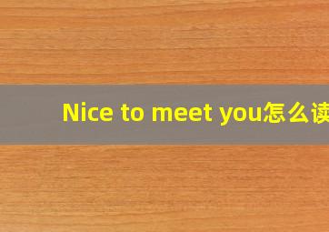 Nice to meet you怎么读